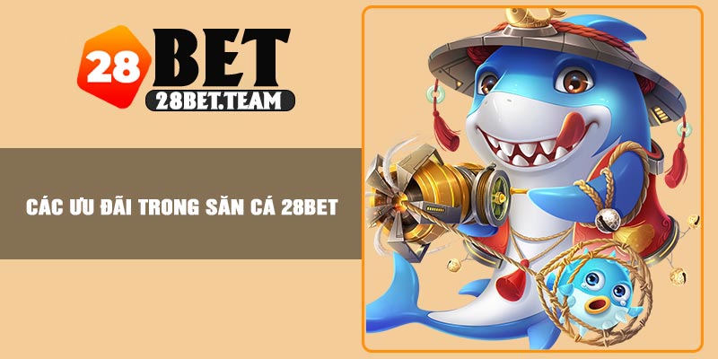 Các ưu đãi trong săn cá 28BET