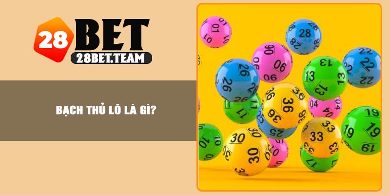 Bạch thủ lô là gì?
