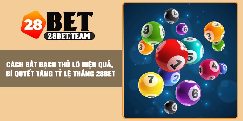 Cách Bắt Bạch Thủ Lô Hiệu Quả, Bí Quyết Tăng Tỷ Lệ Thắng 28BET