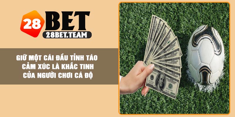 Giữ một cái đầu tỉnh táo – Cảm xúc là khắc tinh của người chơi cá độ