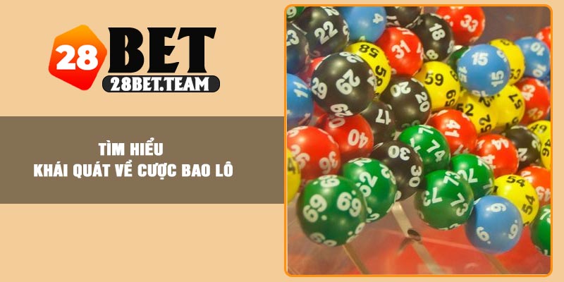 Tìm hiểu khái quát về cược bao lô